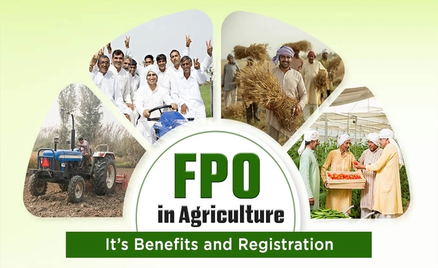 What is an FPO (Farmer Producer Organization)?